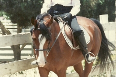 15 3 just having fun