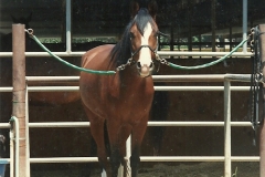 18 3in the crossties