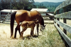 2 1baby with Shamina