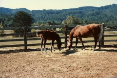 3 1eating with mother