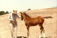 5 1getting aquainted